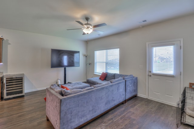 living room with ceiling fan, beverage cooler, dark hardwood / wood-style floors, and a healthy amount of sunlight