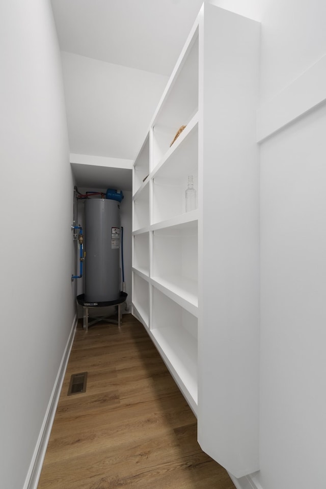 interior space featuring water heater and dark wood-type flooring