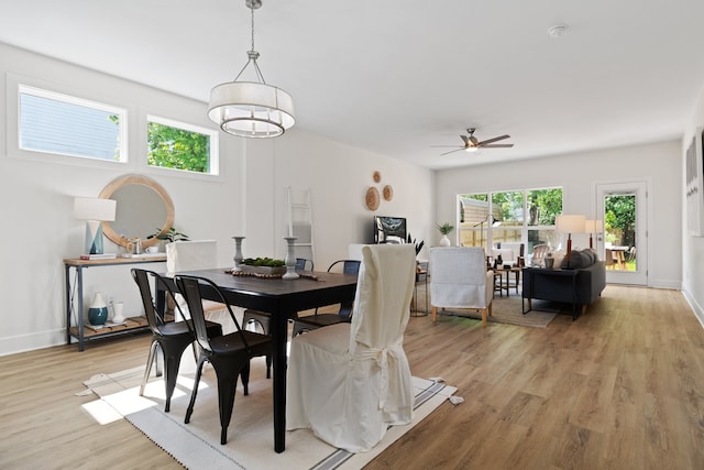 dining room with light hardwood / wood-style floors and ceiling fan