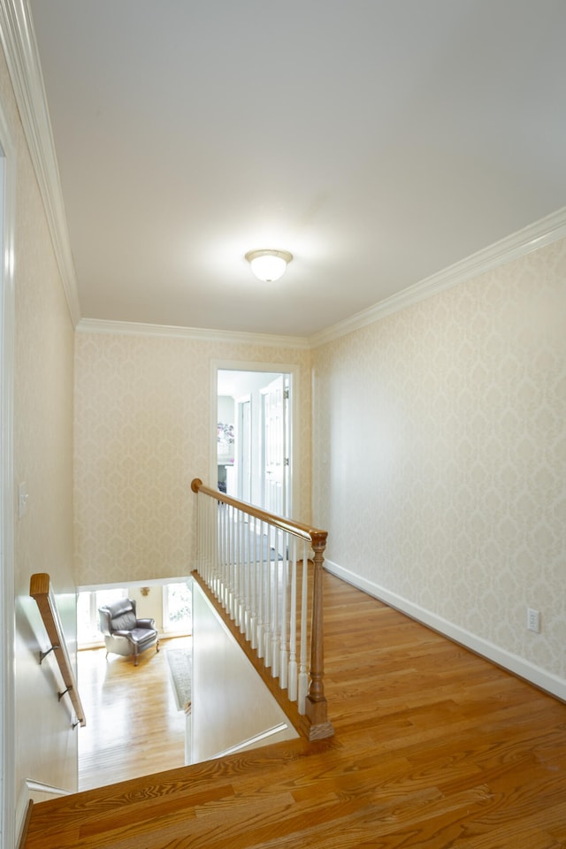 corridor with crown molding and hardwood / wood-style floors