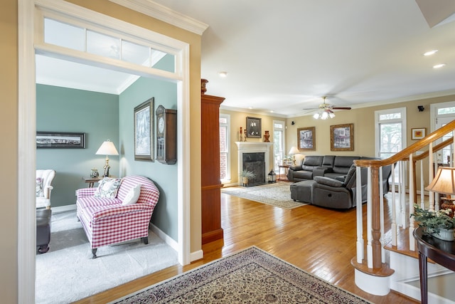 living room with ceiling fan, light wood-type flooring, and ornamental molding