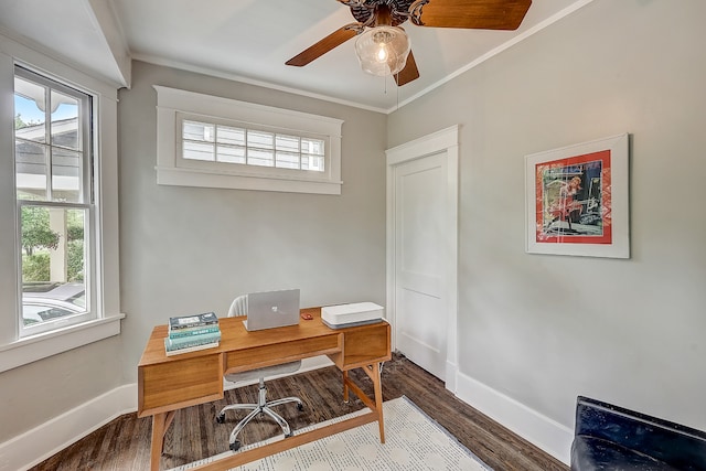 office space featuring ceiling fan, crown molding, dark hardwood / wood-style floors, and plenty of natural light