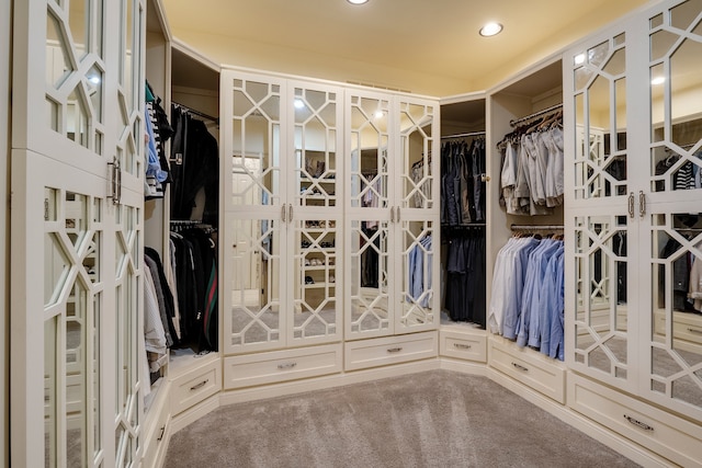 spacious closet featuring carpet floors