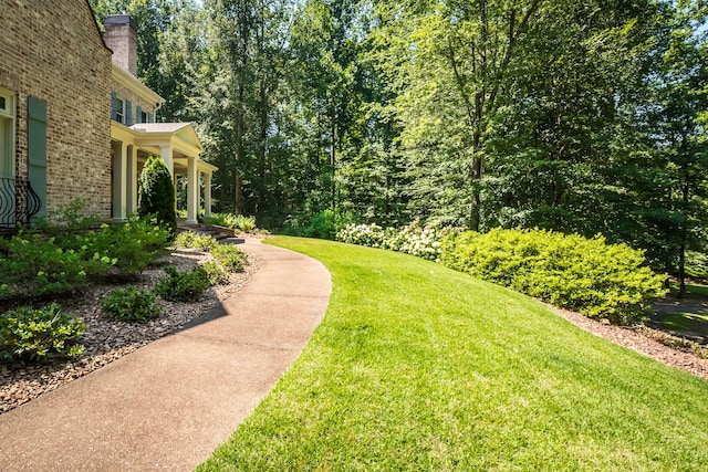 view of yard