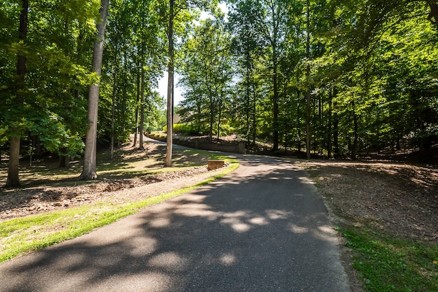 view of road