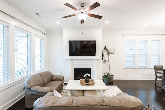 living room with plenty of natural light, dark hardwood / wood-style floors, crown molding, and ceiling fan