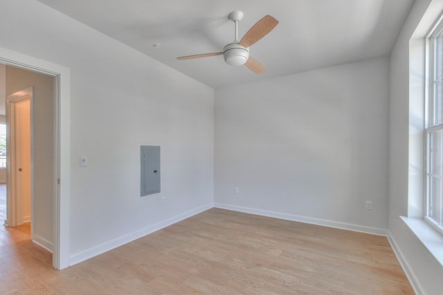 spare room with ceiling fan and light hardwood / wood-style floors