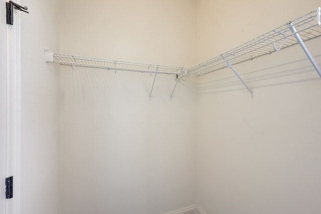 view of walk in closet