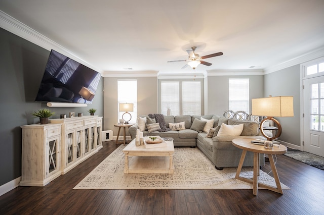 living room with ceiling fan, dark hardwood / wood-style floors, and crown molding