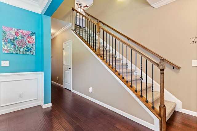 staircase with dark hardwood / wood-style flooring, crown molding, and ceiling fan