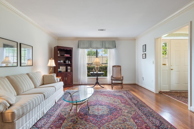 living room featuring crown molding and dark hardwood / wood-style floors