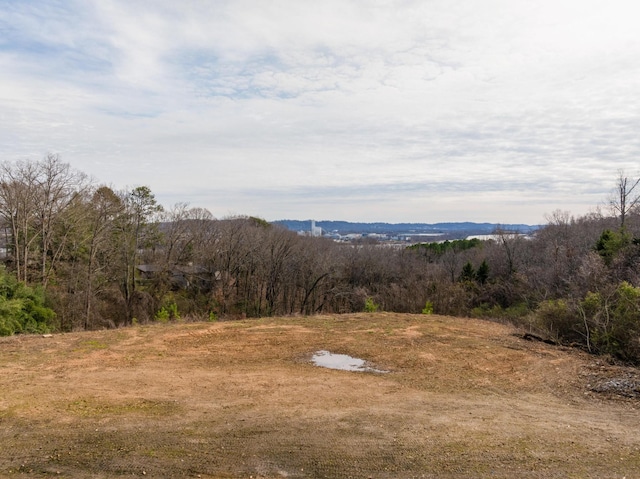 0 Rivermont Rd, Chattanooga, TN 37415