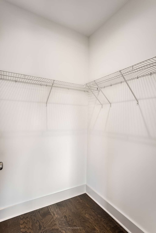 spacious closet featuring wood-type flooring