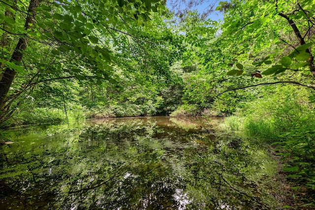 view of local wilderness with a water view