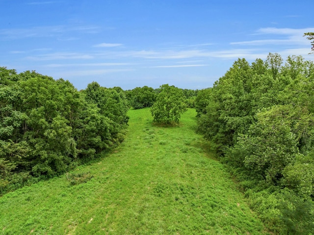 view of local wilderness