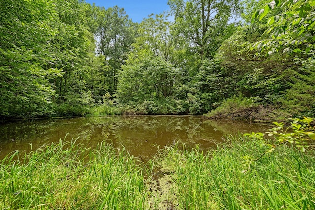 view of local wilderness featuring a water view