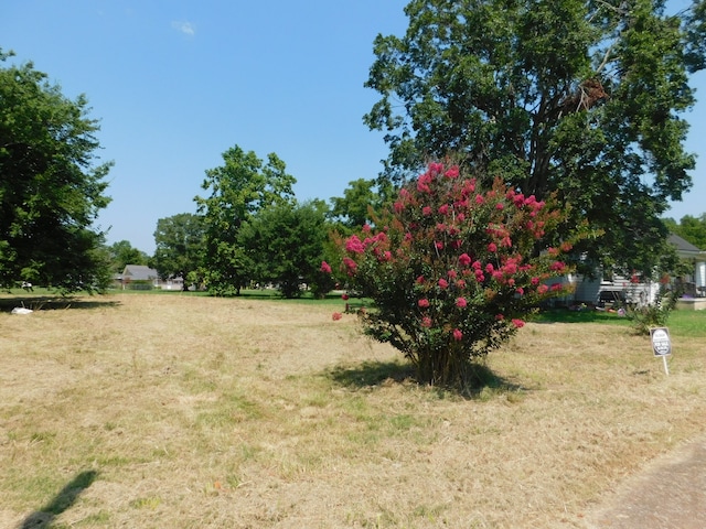 0 Mill St, Waverly TN, 37185 land for sale