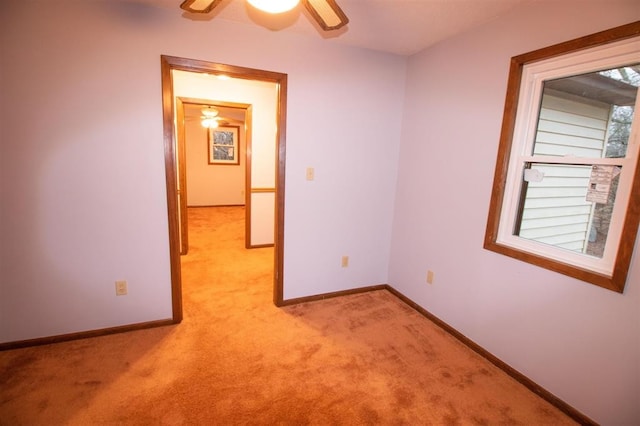 1055 Rinda Rd, Greenfield, TN 38230 - photo 37
