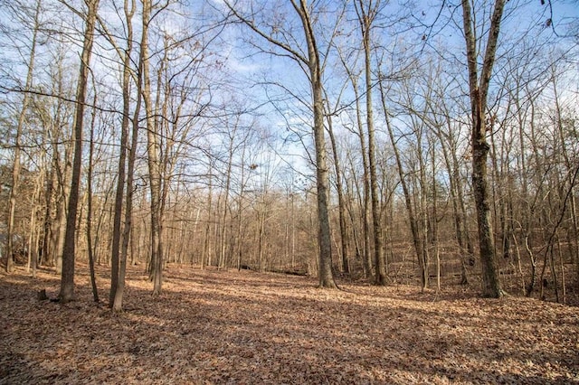 1055 Rinda Rd, Greenfield, TN 38230 - photo 45