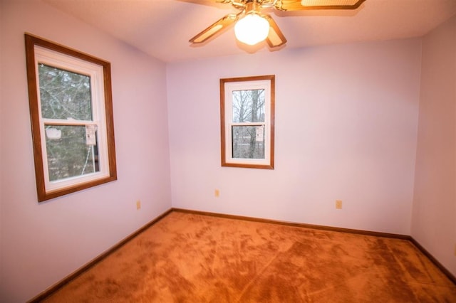 1055 Rinda Rd, Greenfield, TN 38230 - photo 36