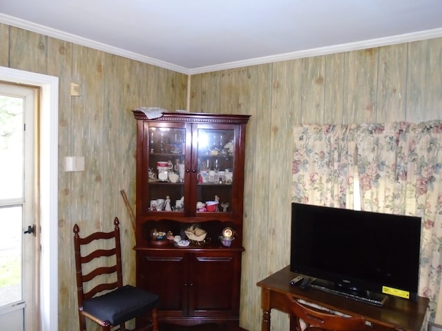 interior space featuring a wealth of natural light and ornamental molding