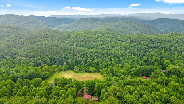 bird's eye view with a mountain view and a forest view