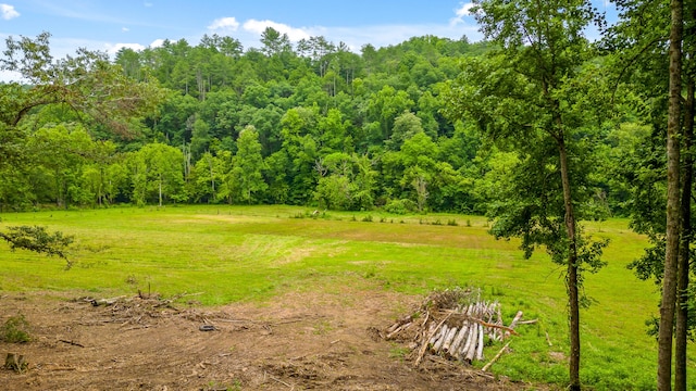 view of yard featuring a wooded view