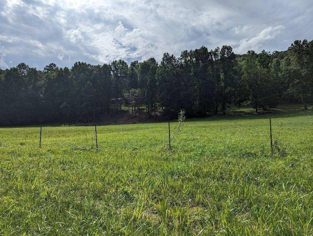 view of yard with a wooded view