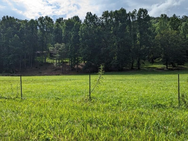 view of yard with a wooded view