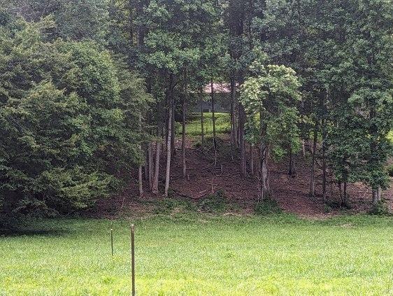 view of yard featuring a wooded view