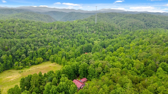 bird's eye view with a mountain view and a view of trees