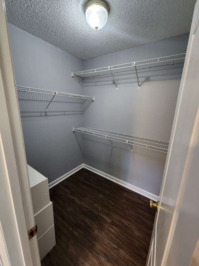 spacious closet featuring dark hardwood / wood-style flooring