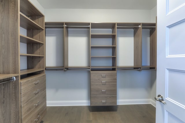 walk in closet featuring dark wood-type flooring