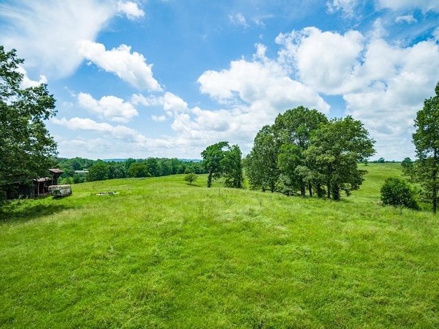 view of yard featuring a rural view