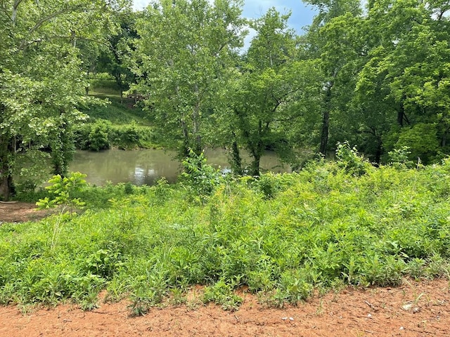 view of nature featuring a water view