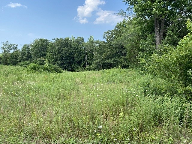 0 Lindsey Rd, Parsons TN, 38363 land for sale