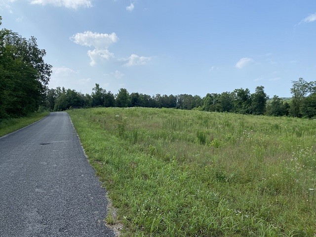 Listing photo 3 for 0 Lindsey Rd, Parsons TN 38363