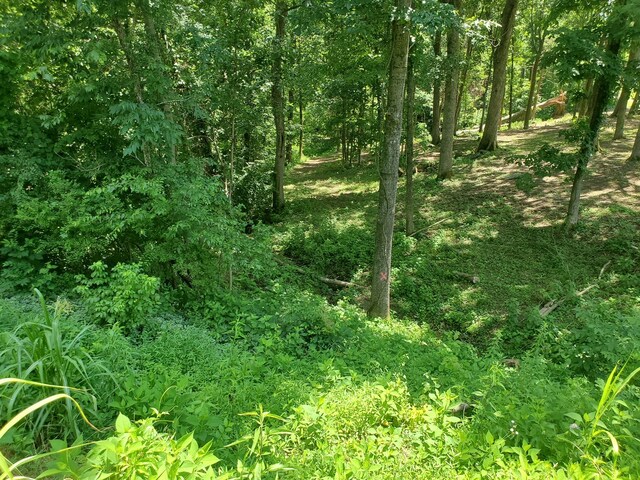 1930 Arlington Rd, Lebanon, TN 37087 - photo 7