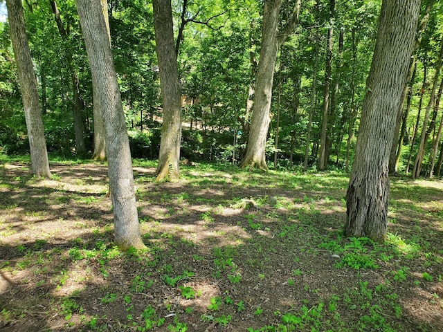 1930 Arlington Rd, Lebanon, TN 37087 - photo 15