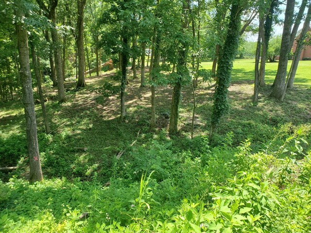 1930 Arlington Rd, Lebanon, TN 37087 - photo 6