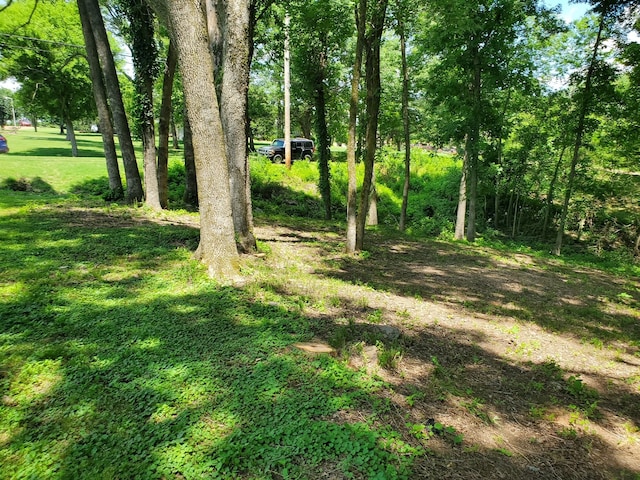 1930 Arlington Rd, Lebanon, TN 37087 - photo 8