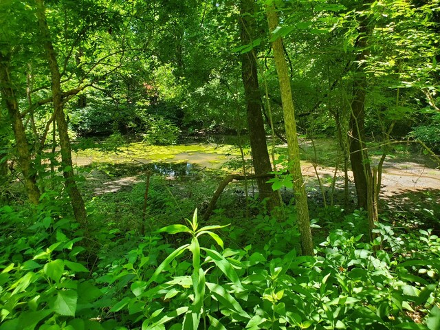 1930 Arlington Rd, Lebanon, TN 37087 - photo 12