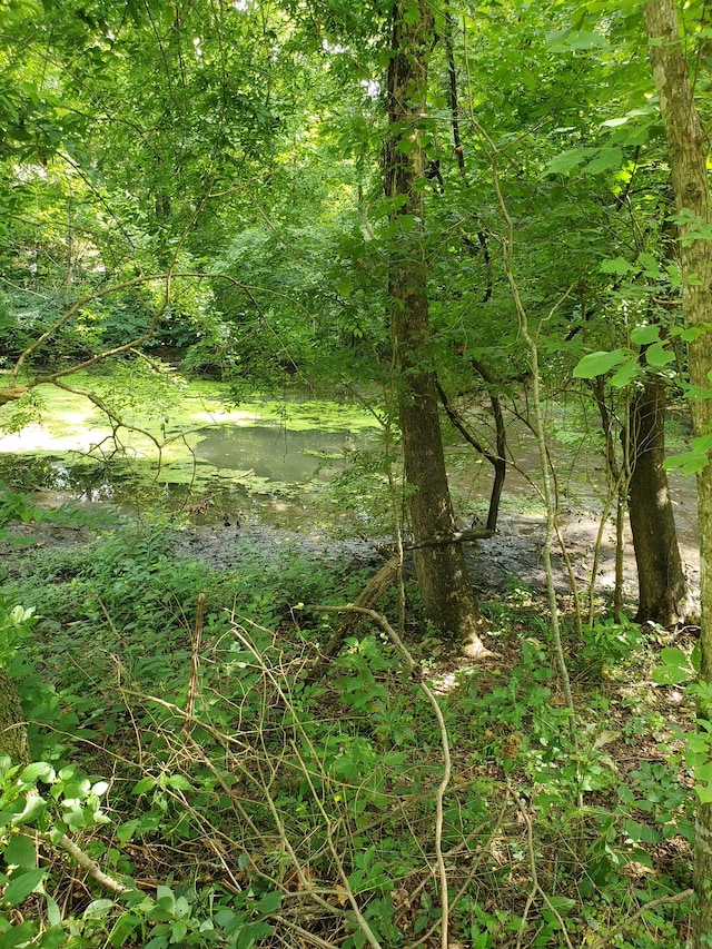 1930 Arlington Rd, Lebanon, TN 37087 - photo 4
