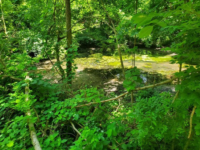 1930 Arlington Rd, Lebanon, TN 37087 - photo 11