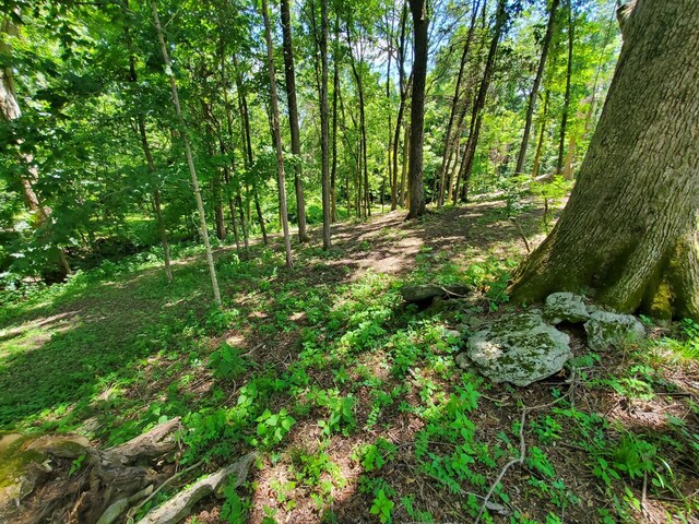 1930 Arlington Rd, Lebanon, TN 37087 - photo 14