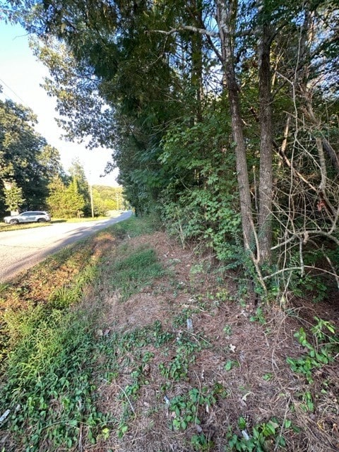 Listing photo 3 for 0 Stigall St, Camden TN 38320