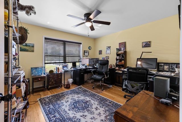 office featuring ceiling fan and light hardwood / wood-style floors