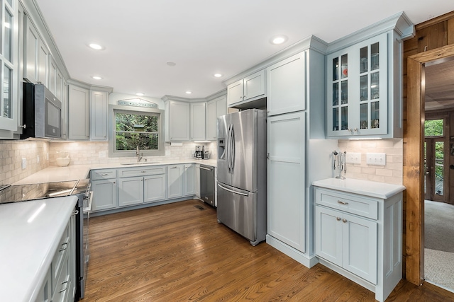 kitchen featuring tasteful backsplash, stainless steel appliances, dark hardwood / wood-style floors, and sink