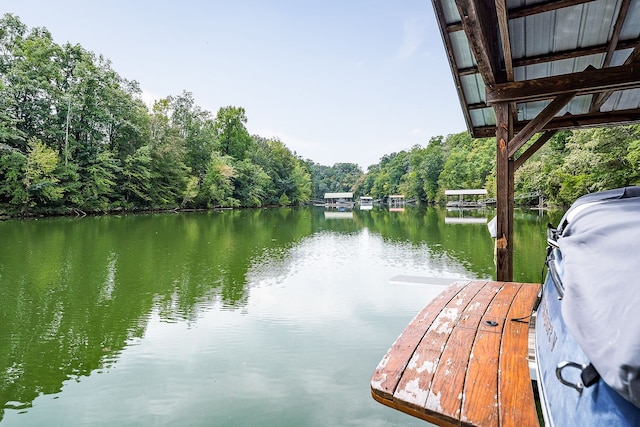 dock area featuring a water view