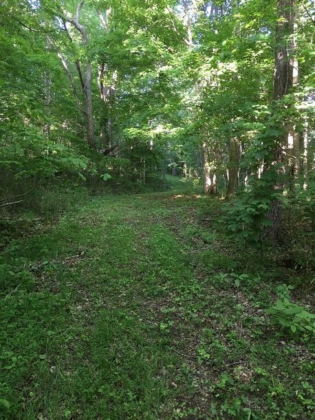 0 Gravely Hill Rd, Bethpage, TN 37022